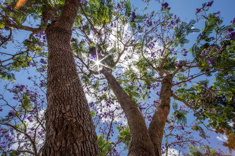 John Scott Park - Accommodation Batemans Bay 1