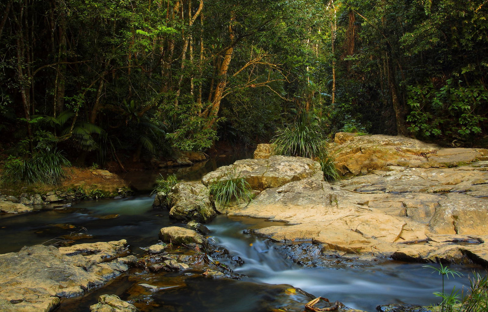 Tropical North Queensland QLD Accommodation Batemans Bay