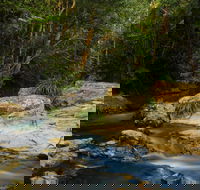 Jumrum Creek Walk Jumrum Creek Conservation Park - Accommodation Batemans Bay