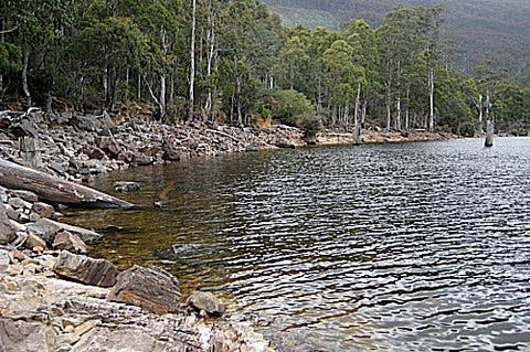 Lake Rowallan - Accommodation Batemans Bay 1