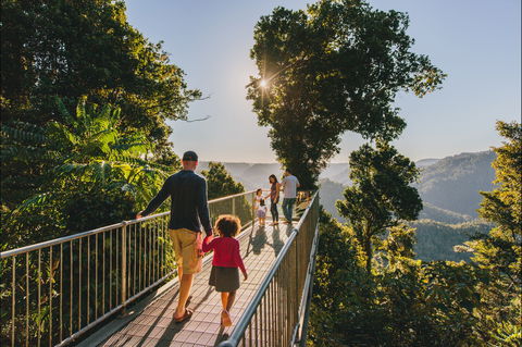 Mamu Tropical Skywalk - Accommodation Batemans Bay 0