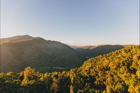 Mamu Tropical Skywalk - Accommodation Batemans Bay 1