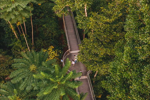 Mamu Tropical Skywalk - Accommodation Batemans Bay 2