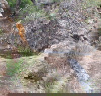 Mill-bullah Walking Track - Accommodation Batemans Bay