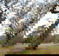 Moolarben Picnic Area - Accommodation Batemans Bay