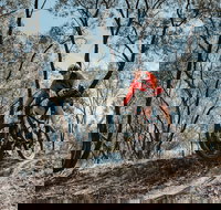 Mountain Bike Trails Deniliquin - Accommodation Batemans Bay