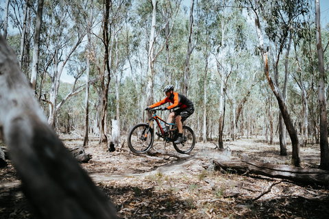 Mountain Bike Trails Deniliquin - Accommodation Batemans Bay 2