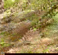 Mount Carnarvon Walking Track - Accommodation Batemans Bay