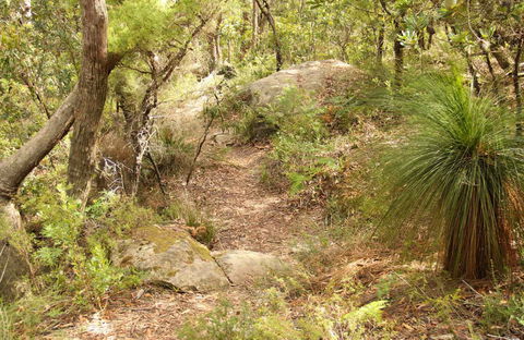 Mount Carnarvon Walking Track - Accommodation Batemans Bay 0