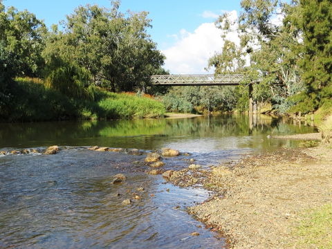 Namoi River And Woolshed Reserve - Accommodation Batemans Bay 0