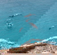 Nullarbor National Park - Accommodation Batemans Bay