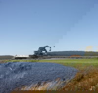 Panboola Wetlands - Accommodation Batemans Bay