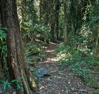 Pholis Gap Walking Track - Accommodation Batemans Bay