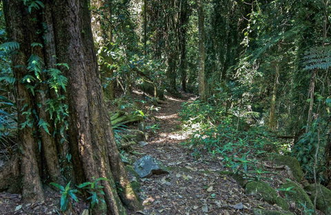 Pholis Gap Walking Track - Accommodation Batemans Bay 0