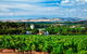 Seppeltsfield Road Barossa Valley - thumb 1