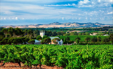 Seppeltsfield Road Barossa Valley - Accommodation Batemans Bay 1