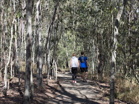 Six Mile Creek, Bluff Lookout And Little White Rock Trails - Accommodation Batemans Bay 0