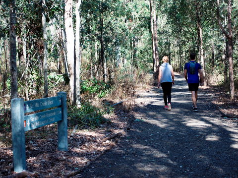 Six Mile Creek, Bluff Lookout And Little White Rock Trails - Accommodation Batemans Bay 2