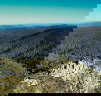 Tapin Tops National Park - Accommodation Batemans Bay