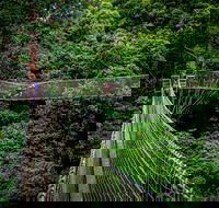 Thunderbird Park  - Tamborine Mountain Gold Coast Region - Accommodation Batemans Bay