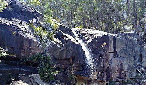 Ugly Corner Falls Walking Track - Accommodation Batemans Bay 0