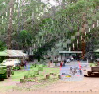 Wallingat Forest Drive - Accommodation Batemans Bay
