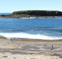 Wasp Head Picnic Area - Accommodation Batemans Bay