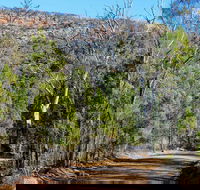 Weddin Gap to Black Spring Loop Trail - Accommodation Batemans Bay