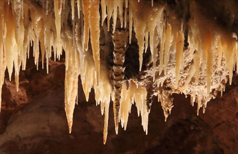 Wollondilly Cave - Accommodation Batemans Bay 0