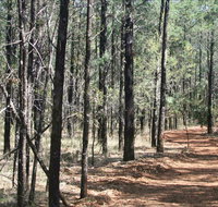 Yana-y Warruwi Walking Track - Accommodation Batemans Bay
