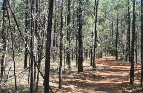 Yana-y Warruwi Walking Track - Accommodation Batemans Bay 0