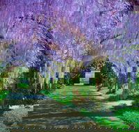Alowyn Gardens and Nursery - Accommodation Batemans Bay
