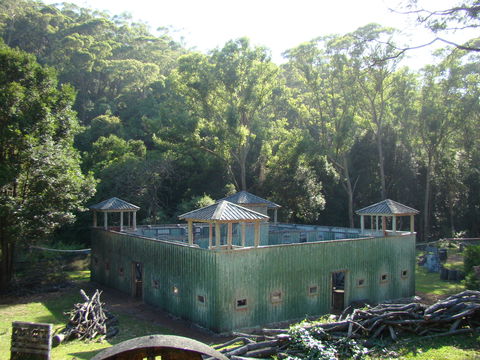 Alpha Paintball - Accommodation Batemans Bay 0