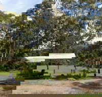 Back Creek picnic area - Accommodation Batemans Bay