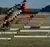 Camden Bicentennial Equestrian Park - Accommodation Batemans Bay