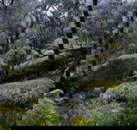 Cathedral Rock Track - Accommodation Batemans Bay