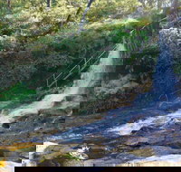 Charles Darwin walk - Accommodation Batemans Bay