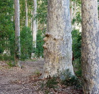 Delta Track - Accommodation Batemans Bay