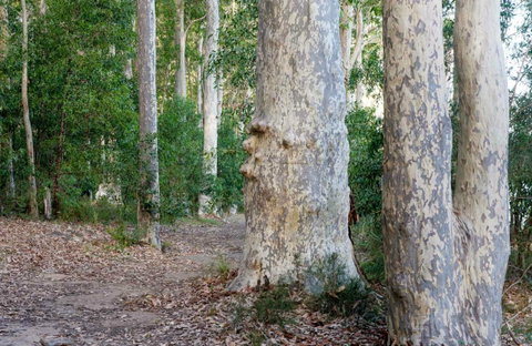 Delta Track - Accommodation Batemans Bay 0