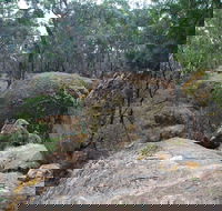 Dergholm State Park - Accommodation Batemans Bay