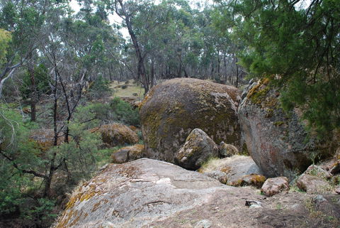 Dergholm State Park - Accommodation Batemans Bay 0