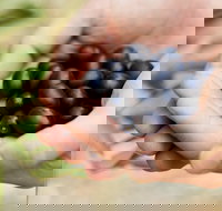 Eat Pick Grow Trail - Wanneroo and Chittering - Accommodation Batemans Bay