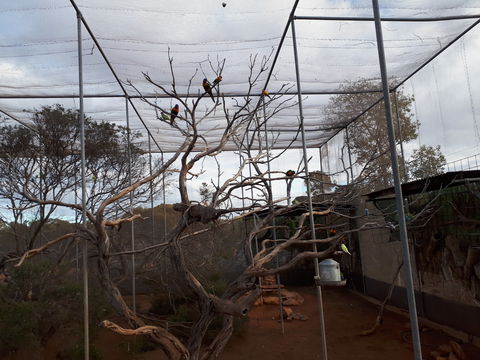 Eyre Reptile & Wildlife Park - Accommodation Batemans Bay 2