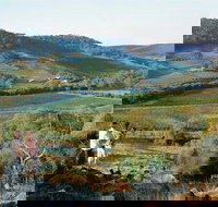 Farm Flavour Trail Chittering Valley - Accommodation Batemans Bay