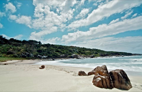 Fishermans Bay Foreshore - Accommodation Batemans Bay 0
