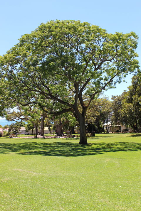 Flinders Park Playground - Accommodation Batemans Bay 0