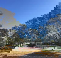 Grenfell Endemic Garden - Accommodation Batemans Bay