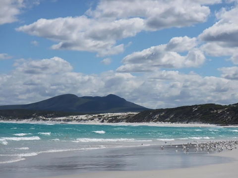 Hakea Walk Trail, East Fitzgerald National Park - Accommodation Batemans Bay 0