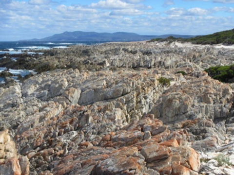 Hakea Walk Trail, East Fitzgerald National Park - Accommodation Batemans Bay 1