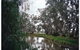 Henty Government Dam Nature Reserve - thumb 0